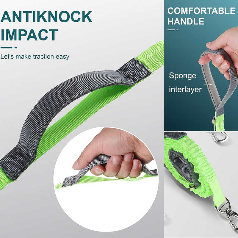 DS BS 2 in 1 Dog Bungee Leash & Car Seatbelt-Green