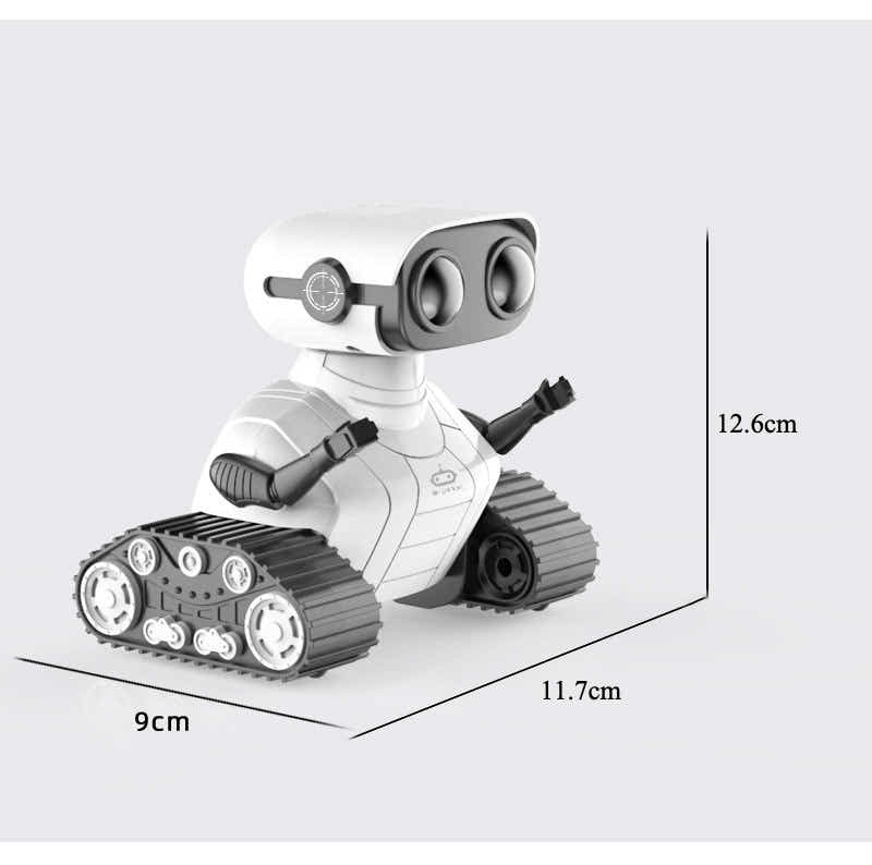 DS BS Rechargeable RC Robot Toys