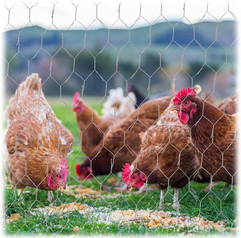 DS BS Multifunctional Wire Mesh Net 1X25M