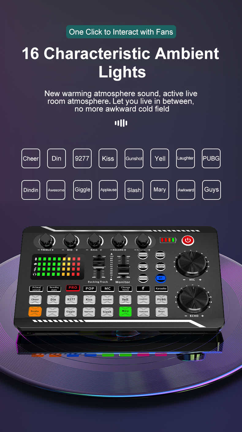 DS BS Professional Audio Mixer