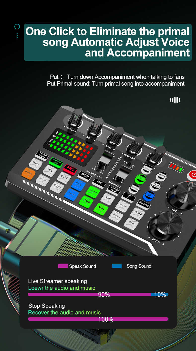 DS BS Professional Audio Mixer