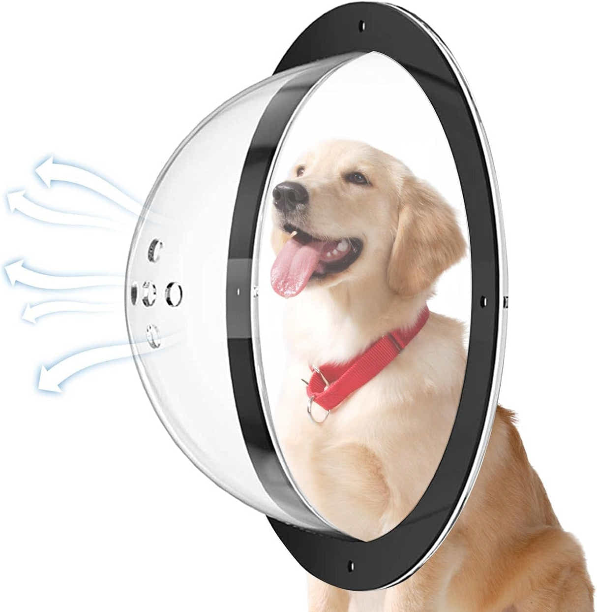 DS BS Acrylic Dome Dog Window for Fence to View Outside