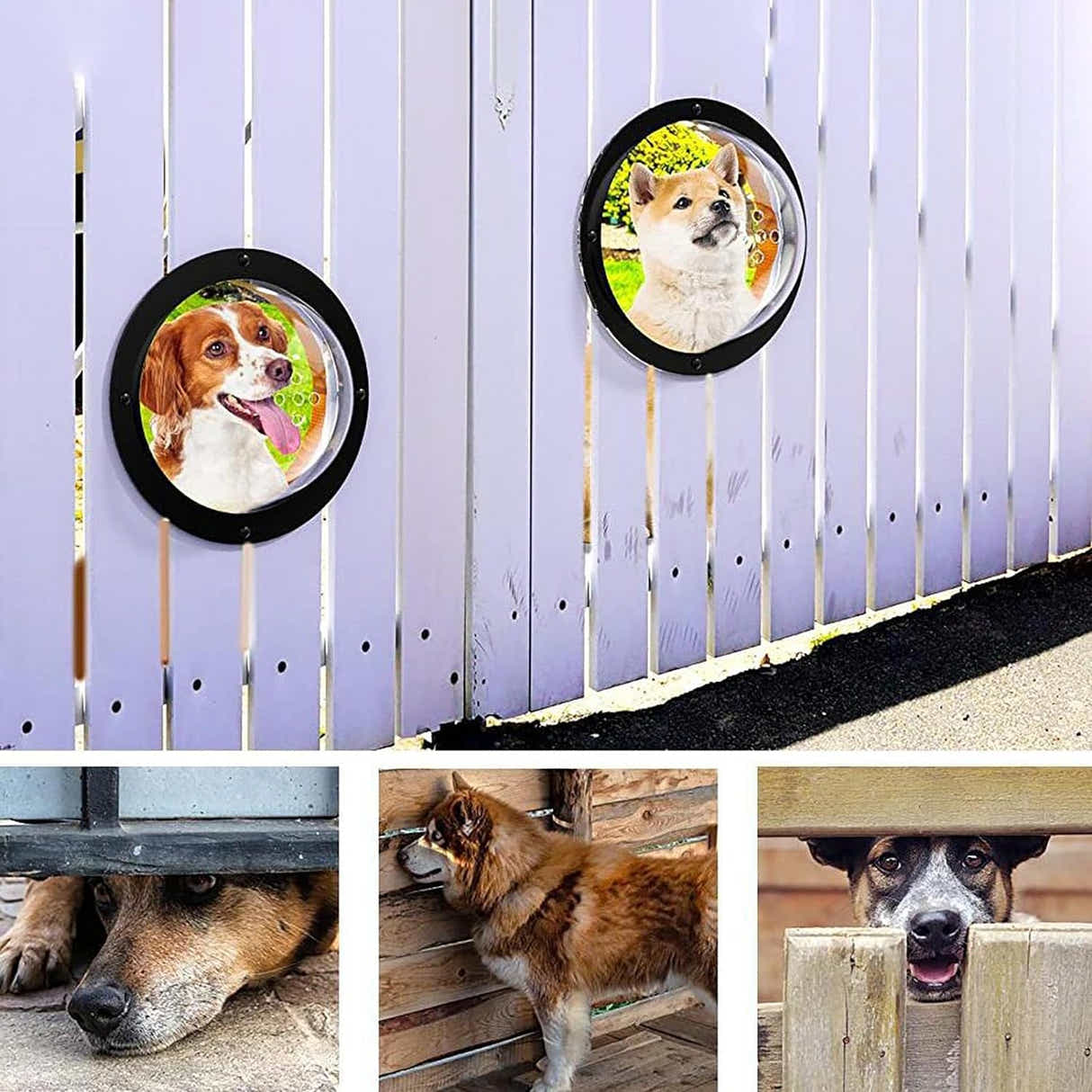 DS BS Acrylic Dome Dog Window for Fence to View Outside