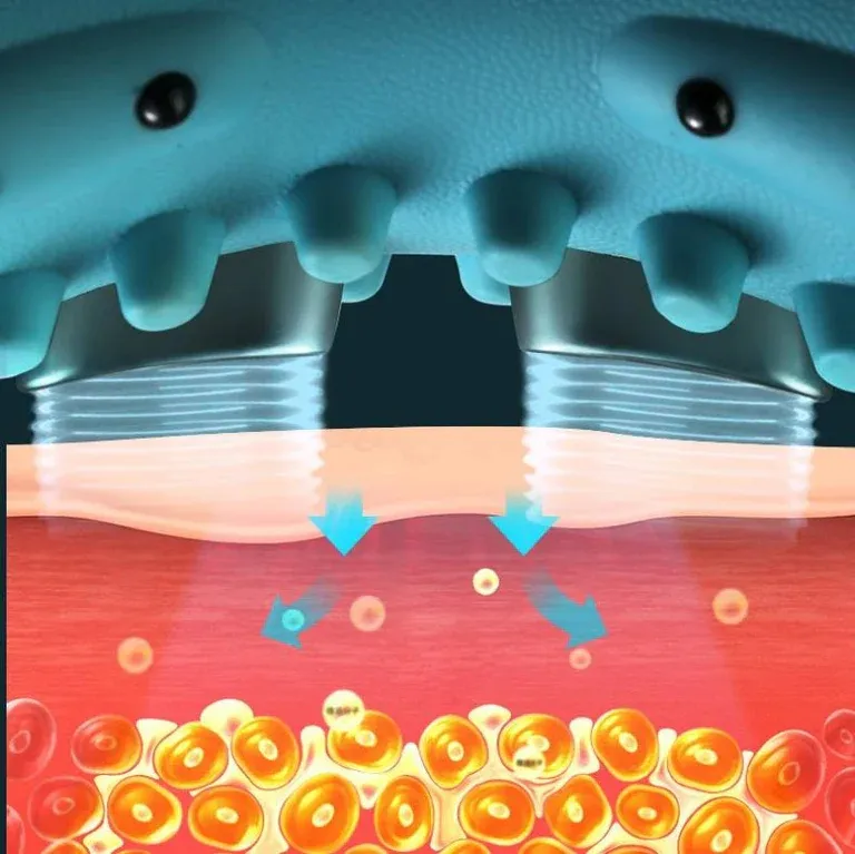 DS BS Neck Massager Pillow with Heating Acupuncture Vibration Massage