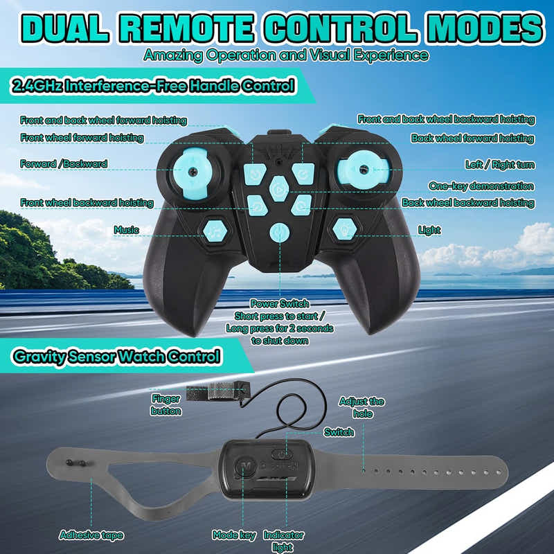 DS BS 8WD Remote Control Robot Dog