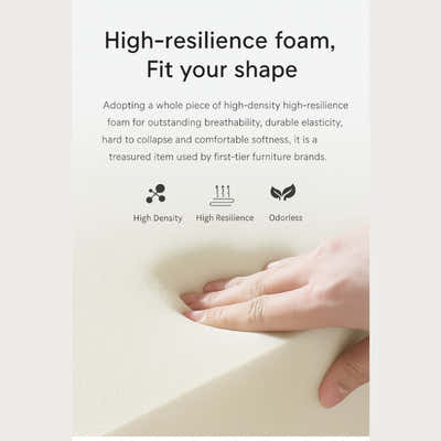 DS BS Double Seated Foam Sofa with Corduroy Fabric