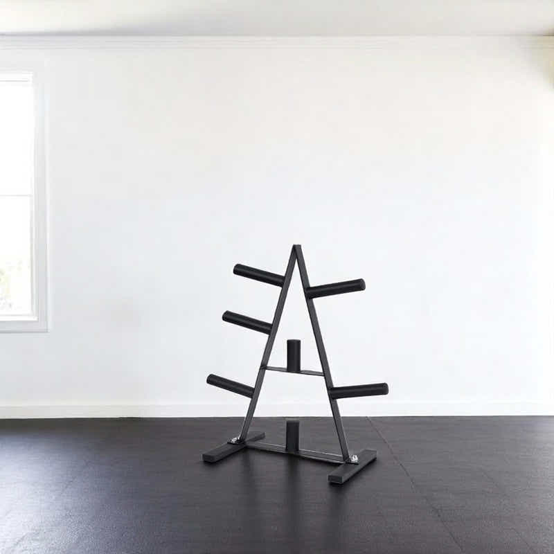 DS BS Heavy Duty Weight Plate Storage Rack Stand