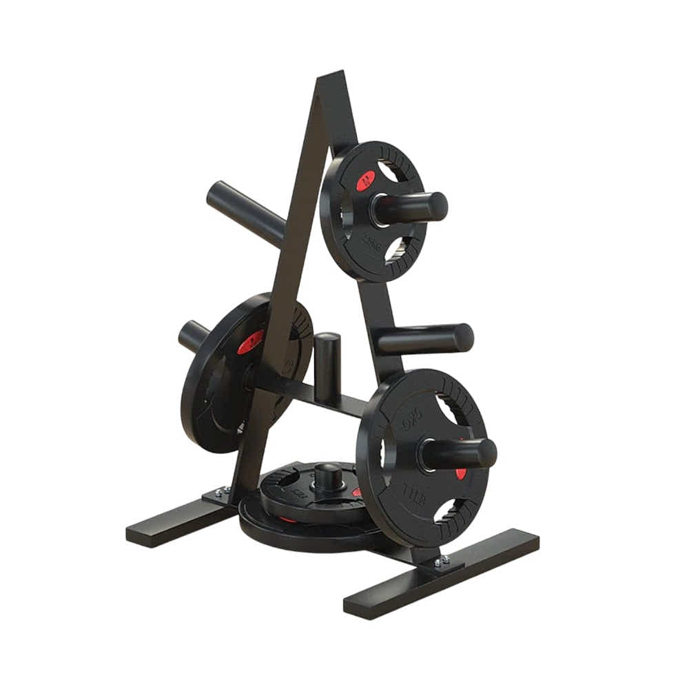 DS BS Heavy Duty Weight Plate Storage Rack Stand