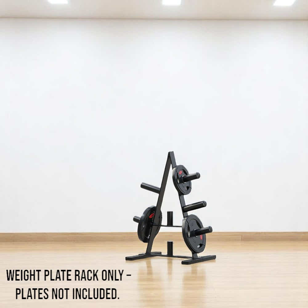 DS BS Heavy Duty Weight Plate Storage Rack Stand