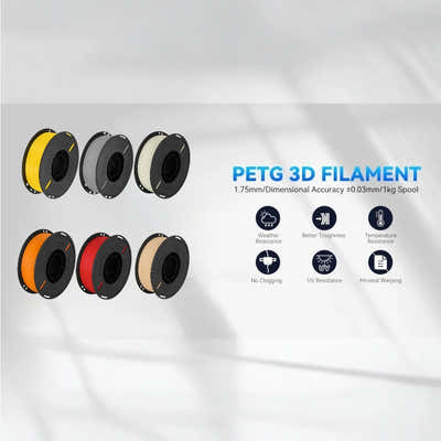 DS BS PETG 3D Printer Filament 1.75mm 1KG - Orange