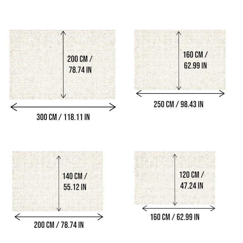 DS BS Area Rug 200x300cm Modern Minimalist Living Room Carpet - Soft Sand Beige
