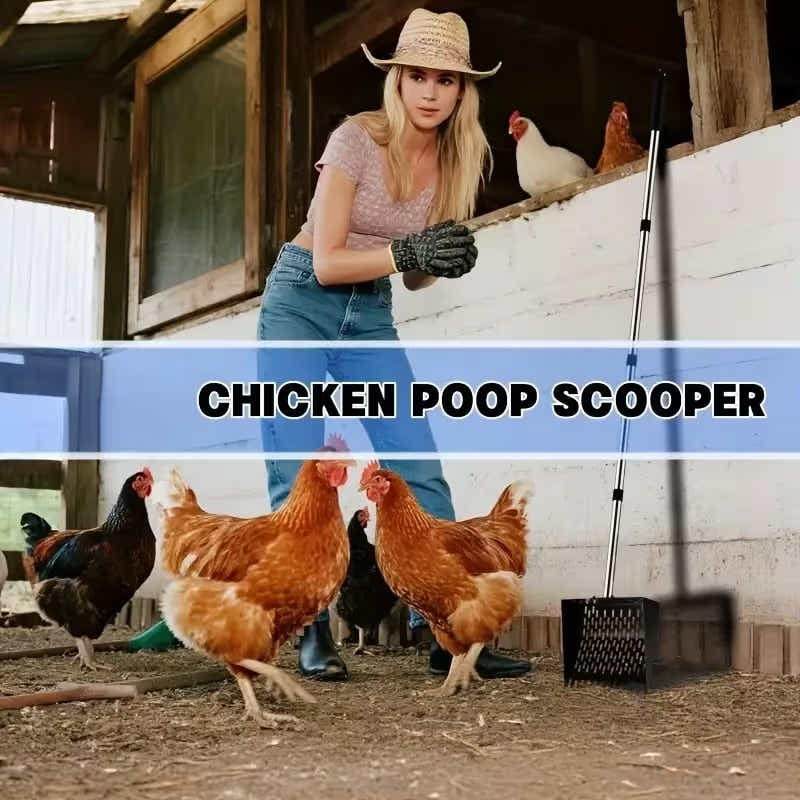 DS BS Metal Garden Spade Shovel Carbon Steel Head for Backyard Digging