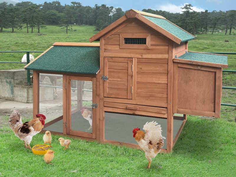 Wooden Chicken Coop - 152cm