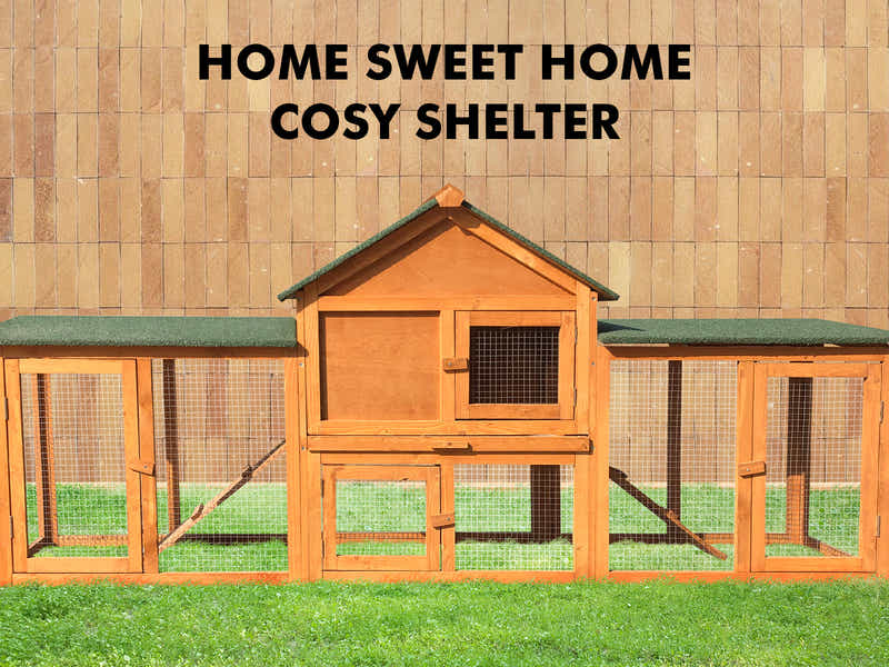 Wooden Rabbit House - 210cm