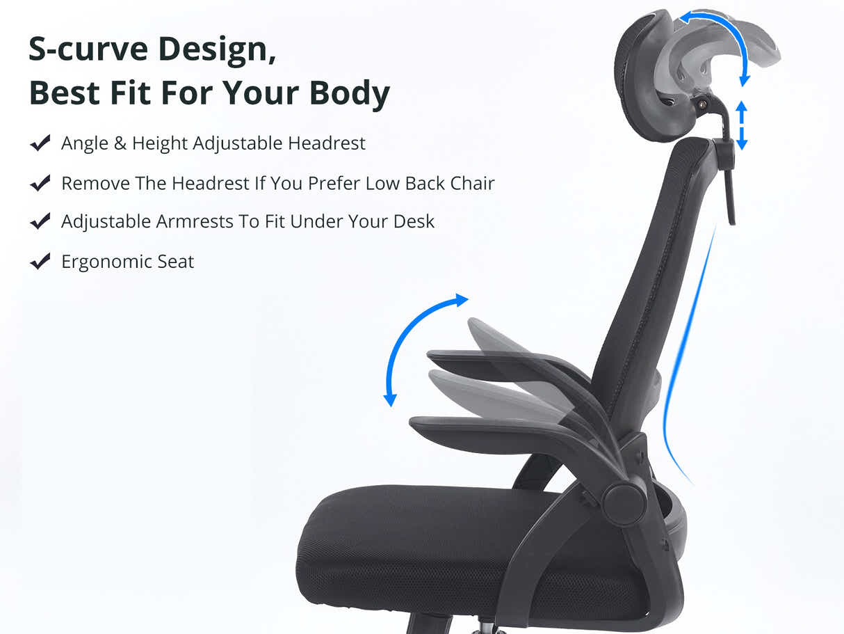 Ergo Office Chair - Black