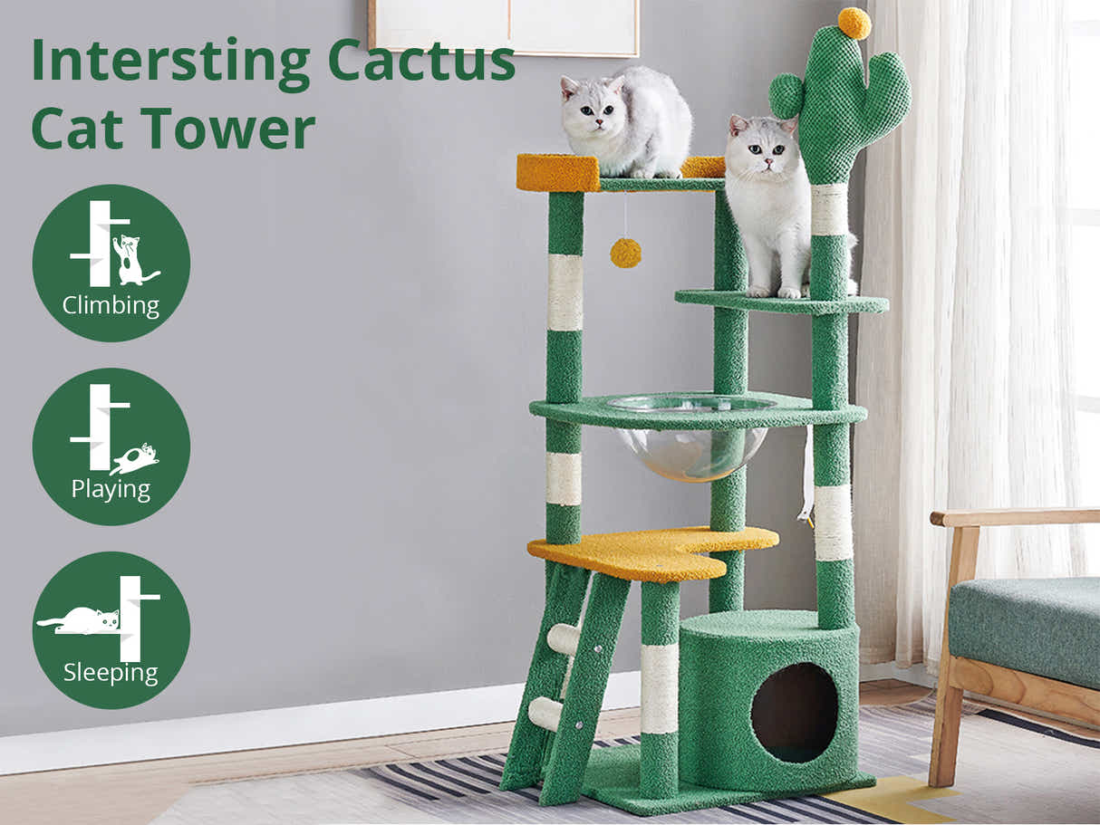 DS Cat tree 1.43m