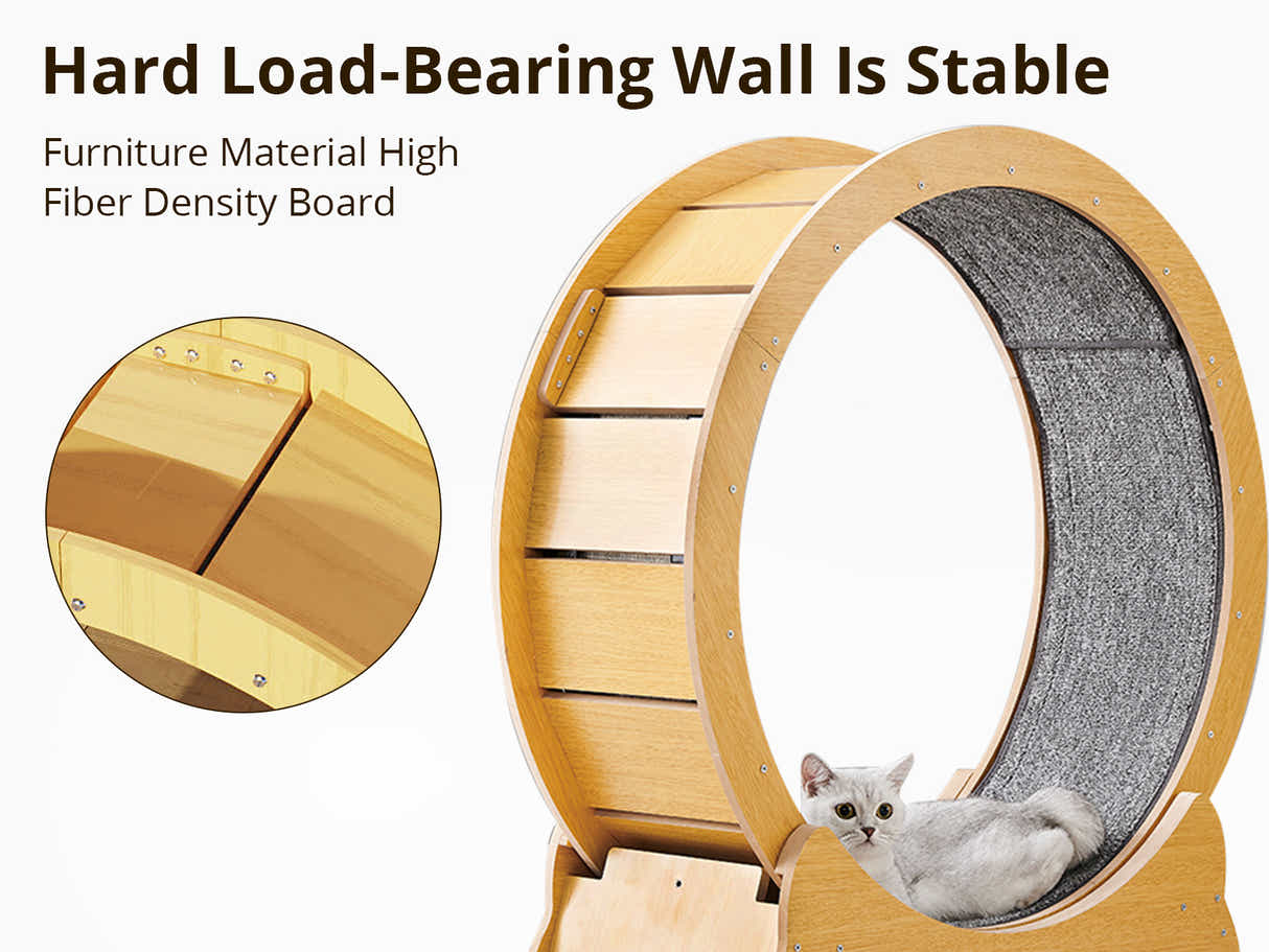 Cat Running Wheel