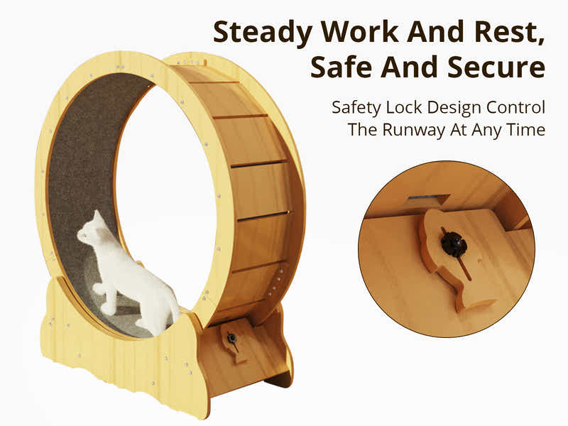 Cat Running Wheel