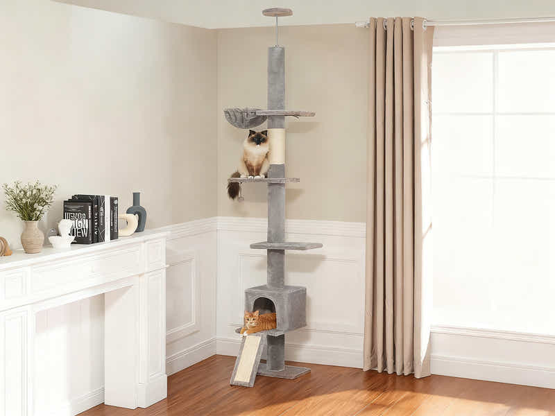 DS Cat Tree 250-280CM