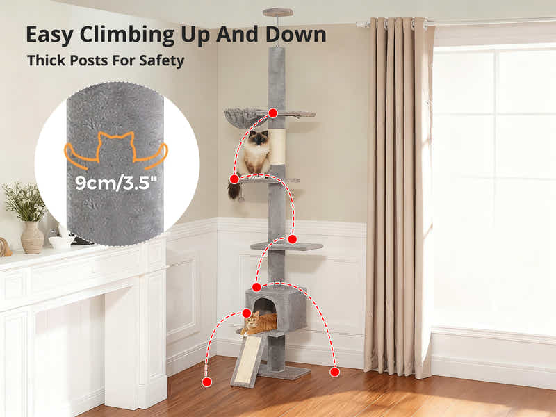 DS Cat Tree 250-280CM