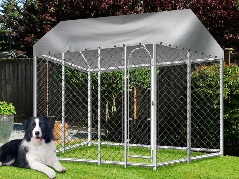 Dog Run with Roof - 3m x 3m x 2.3m