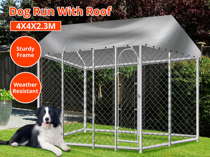 DS Dog Run with Roof - 4m x 4m x 2.3m