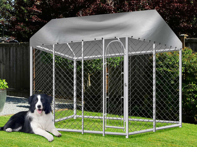 DS Dog Run with Roof - 4m x 4m x 2.3m