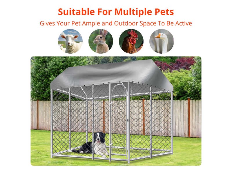 DS Dog Run with Roof - 4m x 4m x 2.3m