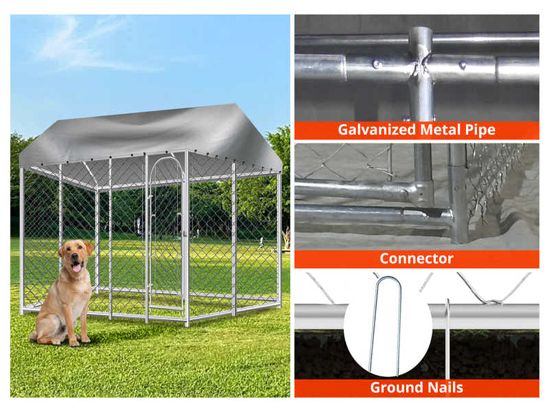 DS Dog Run with Roof - 4m x 4m x 2.3m