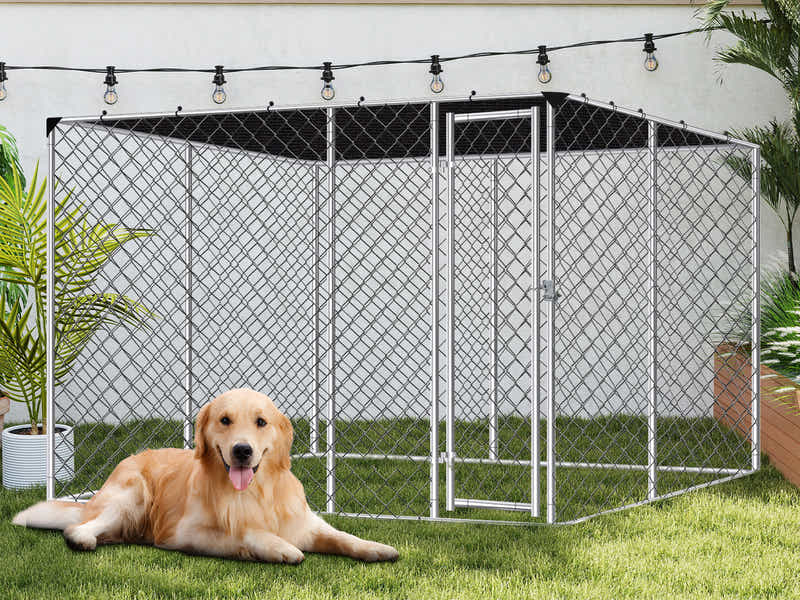 DS Dog run D with shade sail 4x4x1.8m