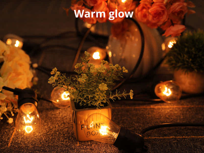 Fixed Socket Festoon Lights with Tungsten Bulbs - 12 m