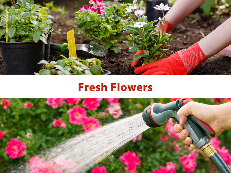 PE Mesh Walk-In Greenhouse - 1.9m x 3.64m