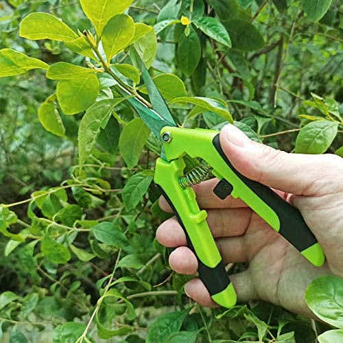 DS BS 2Pack Gardening Hand Pruner Pruning Shear