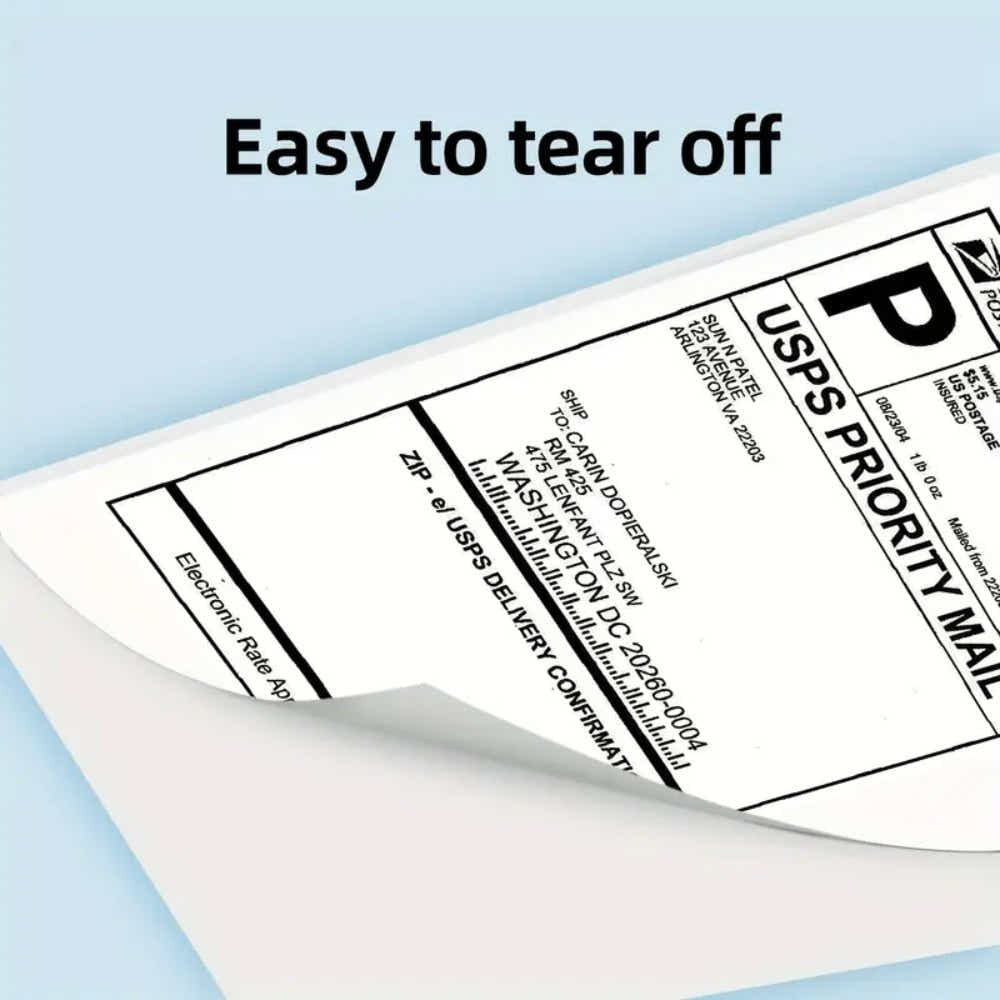 DS BS Thermal Shipping Labels 4x6 Inch 2 Pack 1000Labels