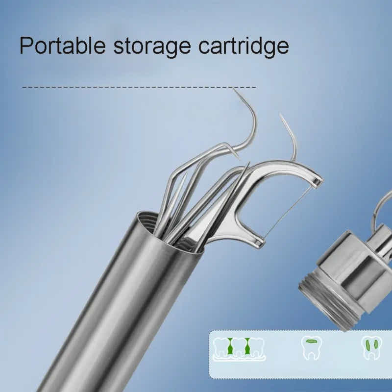 DS BS 7 Pcs Reusable Titanium Toothpick Set