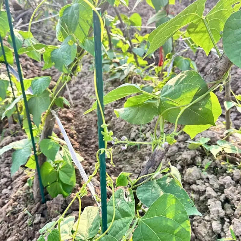 DS BS 50pcs 16mm 360°Adjustable Garden Stakes Connectors