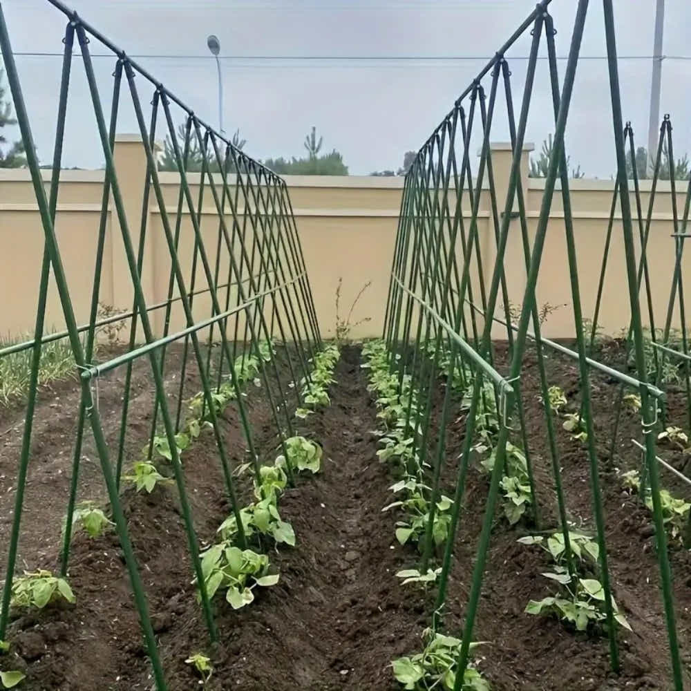DS BS A Frame 16mm Garden Climbing Support Trellis Set