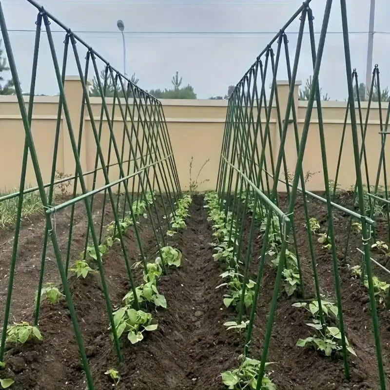 DS BS A Frame 16mm Garden Climbing Support Trellis Set