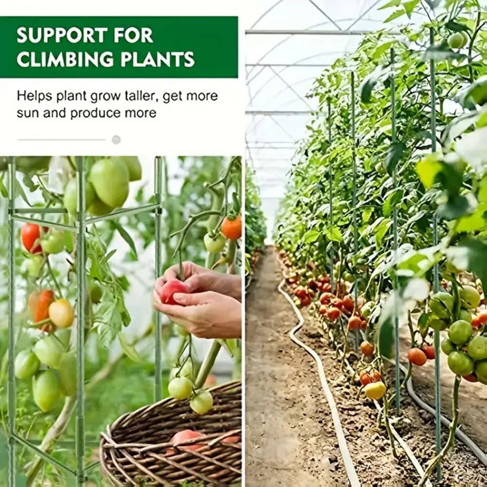 DS BS 3Pack 16MM Garden Tomato Cage Garden Plant Stakes