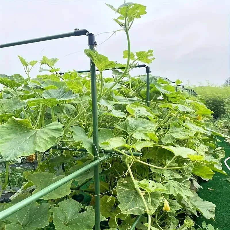 DS BS Garden Plant Climbing Trellis Support Frame - 90CM