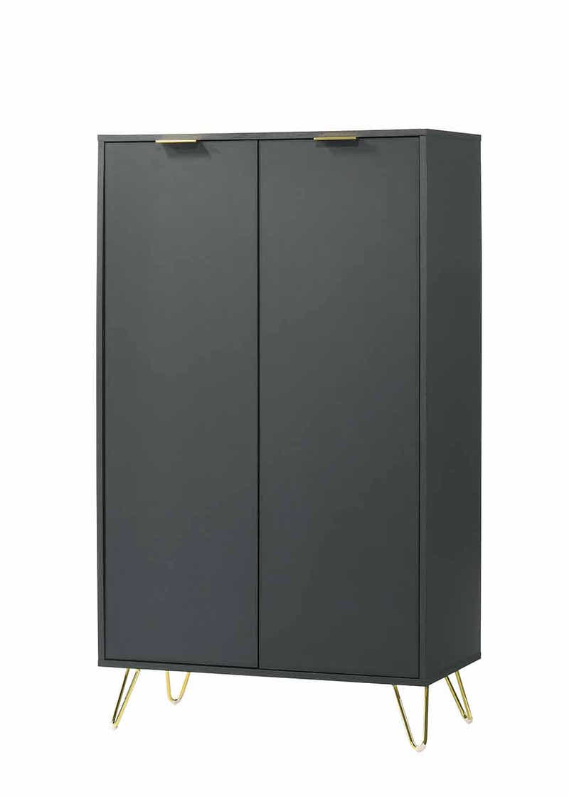 Zinnia 2-Door Shoe Storage Cabinet