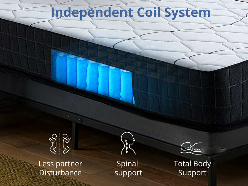 Enkel Bed Base & Xclusive Pocket Spring Mattress X20 Queen (Combo)