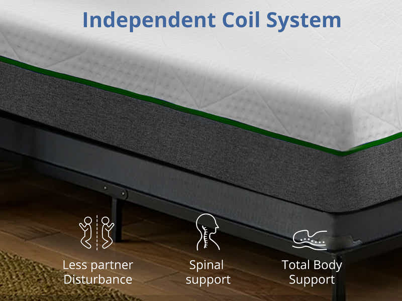 Cosmo Electric Bed with Mattress Combo - Queen