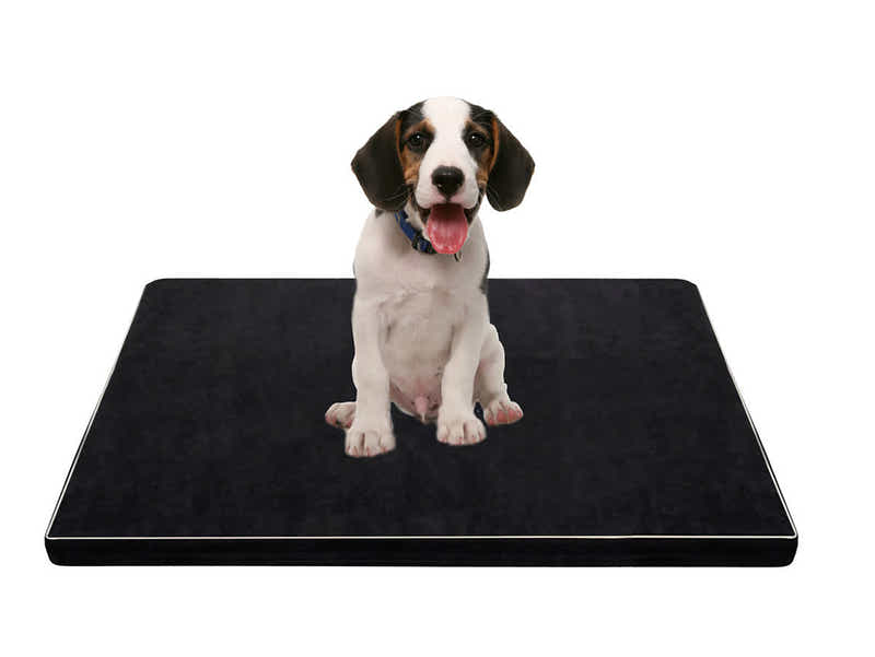 MemFoam Pet Bed A5 Large