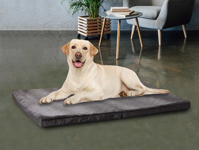 MemFoam Pet Bed