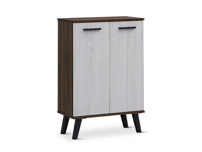 Dallars 2-Door Shoe Storage Cabinet