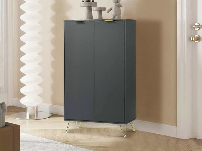 Zinnia 2-Door Shoe Storage Cabinet