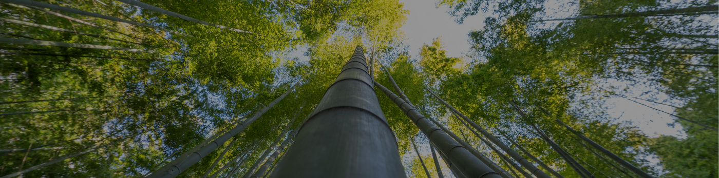 tsb-living-image-banner