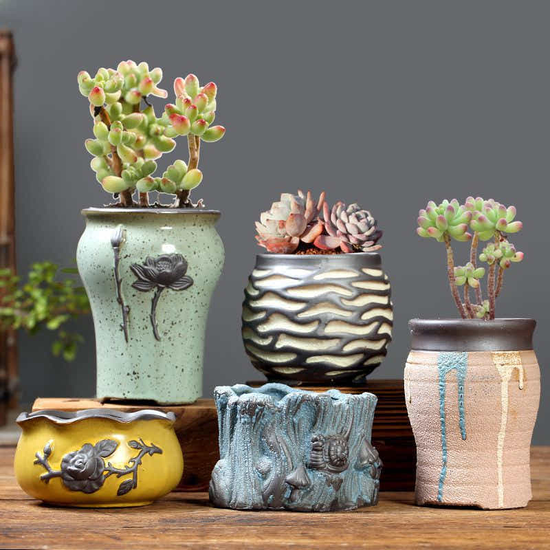 DS BS 5 Pack Elegant Garden Small Succulent Plant Pots