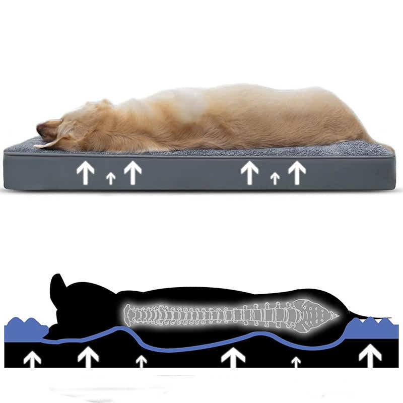 DS BS Egg-Crate Foam Dog Bed with Removable Washable Cover-L